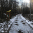 В городских лесах Перми проходит подсыпка троп от наледи - Управление экологии Перми