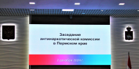 Итоговое заседание антинаркотической комиссии Пермского края в 2024 году - Министерство территориальной безопасности