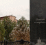 В Чусовом почтили память жертв обрушения бассейна «Дельфин» - Комсомольская Правда