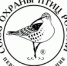Биологи Пермского университета провели орнитологический квест для школьников по книге Виталия Бианки - ПГНИУ