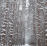 article21508.jpg - 59i.Ru