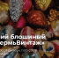 1 - Новый Компаньон