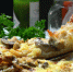 В Перми закрывается итальянская столовая Cultura bistro - Про Город Пермь