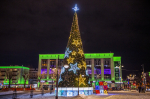 DSC_6736 — копия
