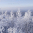 погода - Новый Компаньон