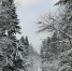 article21545.jpg - 59i.Ru