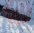 news-details - Вести-Пермь