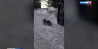 news-details - Вести-Пермь