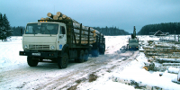 лес - Новый Компаньон