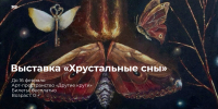 1 - Новый Компаньон