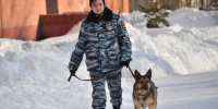 В Перми после «минирования» 12 школ злоумышленники угрожают колледжам и вузам - Комсомольская Правда