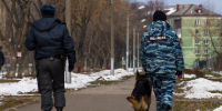 В пермские учебные заведения вновь поступили сообщения о минировании - Новости Перми PermNews.Ru
