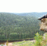 article21601.jpg - 59i.Ru