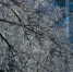 news-details - Вести-Пермь