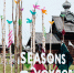 хохловка seasons - Новый Компаньон