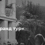 1 - Новый Компаньон
