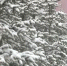 news-details - Вести-Пермь