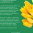 Поздравление проректора по научно-инновационной работе и международному сотрудничеству с Международным женским днём! - ПГСХА