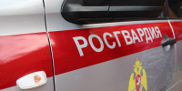 За прошедшую неделю сотрудники вневедомственной охраны Росгвардии по Пермскому краю отработали 611 обращений - Росгвардия