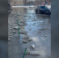 Неубранный снег тает на тротуарах и во дворах - Вести-Пермь