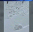 news-details - Вести-Пермь