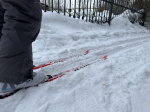 В 2025 году в Пермском крае оборудуют три лыжные базы, построят лыжероллерную трассу и умную спортплощадку