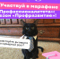 Весенний марафон «Профессионалитет» - Базовый медколледж
