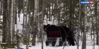 news-details - Вести-Пермь
