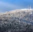 news-details - Вести-Пермь