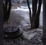 news-details - Вести-Пермь