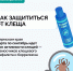 В Прикамье для иммунизации от клещевого энцефалита поступило 346 тысяч доз вакцины - Министерство здравоохранения