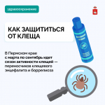 В Прикамье для иммунизации от клещевого энцефалита поступило 346 тысяч доз вакцины