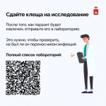 В Прикамье для иммунизации от клещевого энцефалита поступило 346 тысяч доз вакцины