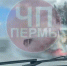 Screenshot_138 - Новый Компаньон