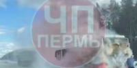 Screenshot_138 - Новый Компаньон