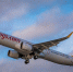 Pegasus Airlines - Новый Компаньон