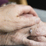 В Перми банк оштрафовали за угрозы 69-летней пенсионерке - Про Город Пермь