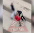 news-details - Вести-Пермь