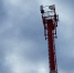 58yecw1j472w2obss02m3fveg0zinqwo - Новый Компаньон