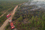 В Прикамье зоны возможных лесных пожаров оградят минерализованными полосами