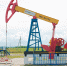 Нефтедобыча - Новый Компаньон
