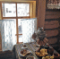 natsionalnoe-zastole-foto-pleshakova-kseniya - Новый Компаньон