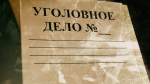 папка Уголовное дело