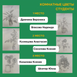 Итоги конкурса рисунков «Я учусь рисовать»