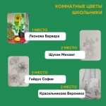 Итоги конкурса рисунков «Я учусь рисовать»