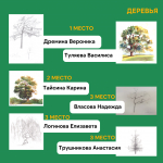 Итоги конкурса рисунков «Я учусь рисовать»