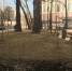 В Перми участники общегородского субботника собрали около 100 тонн мусора - Вести-Пермь