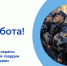 ЕСТЬ РАБОТА! - Центр занятости населения