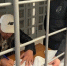 В Перми с поезда сняли пьяного вахтовика, нарушавшего порядок - Про Город Пермь