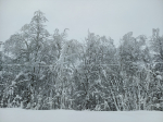 В Кишертском округе Прикамья возникли многочисленные отключения электроэнергии